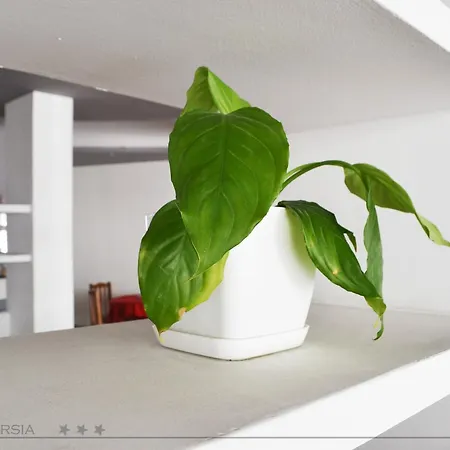 فندق Pavarsia Beach